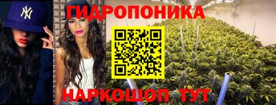 гидропоника Ликино-Дулёво