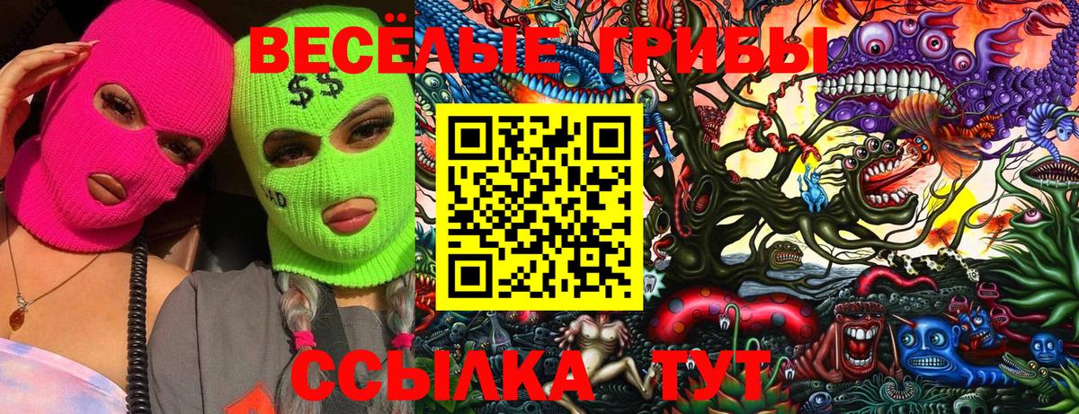 Галлюциногенные грибы Cubensis  Вход с VPN  Каменка  Галлюциногенные грибы Psilocybe 